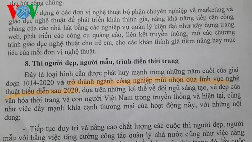 Dự thảo Quy hoạch tổng thể phát triển nghệ thuật biểu diễn đến năm 2020 (Ảnh: FB)
